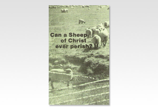 Can a Sheep of Christ ever perish ECH 6030