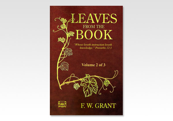 Leaves from the Book 2 9540
