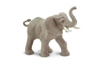 African Elephant