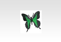 Butterfly (Green Swallowtail)