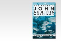 Apostle John and His Writings eBook