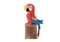 Red Parrot