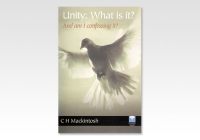 Unity: what is it?